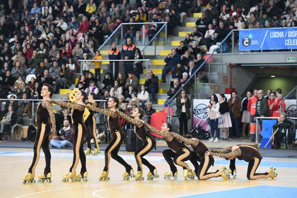 Festival de patinaje a beneficio de Fegerenc