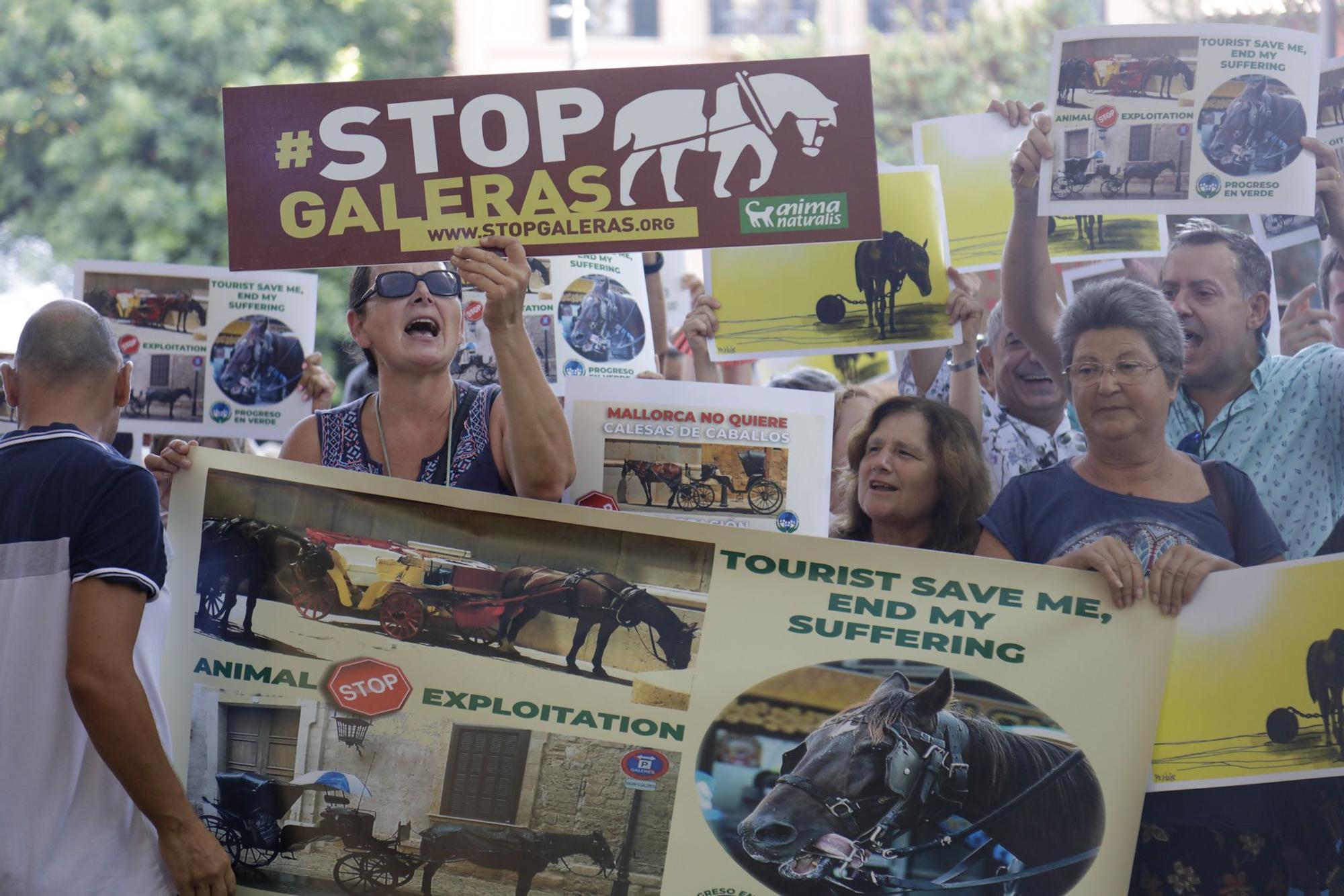 Cientos de personas exigen en Palma "el fin de la explotación de los caballos de galeras"