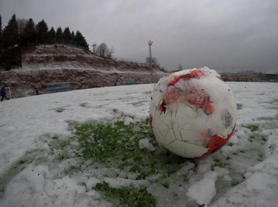 El camp de l'Olot es desperta emblanquinat per la neu