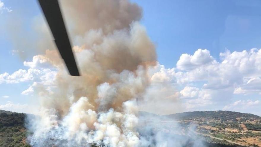 Estabilizado el incendio forestal en Jerez de los Caballeros