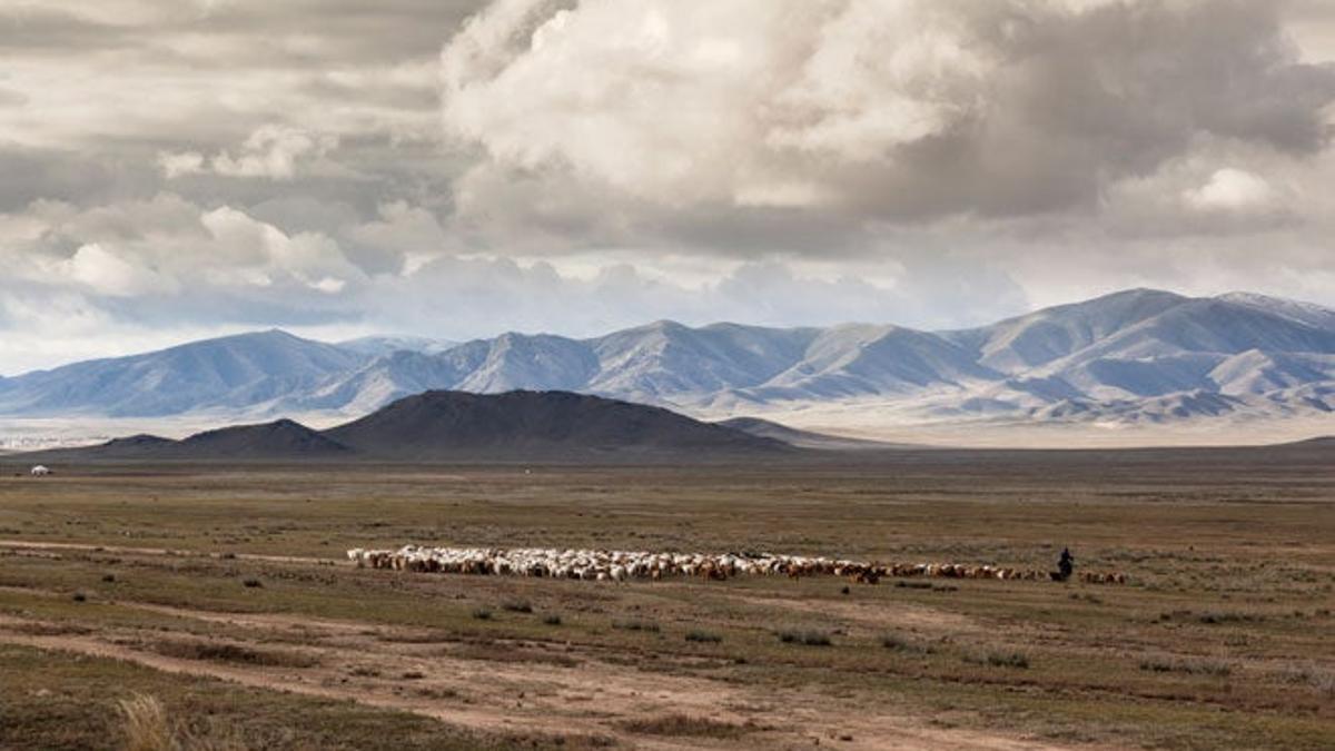 Mongolia, las tierras de los nómadas y los caballos