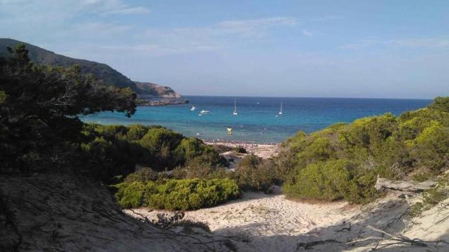 Der beliebte Strand an der Cala Agulla an der Ostküste von Mallorca.