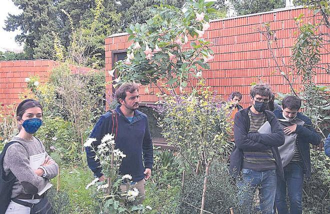 La arquitectura singular de Palma abre sus puertas