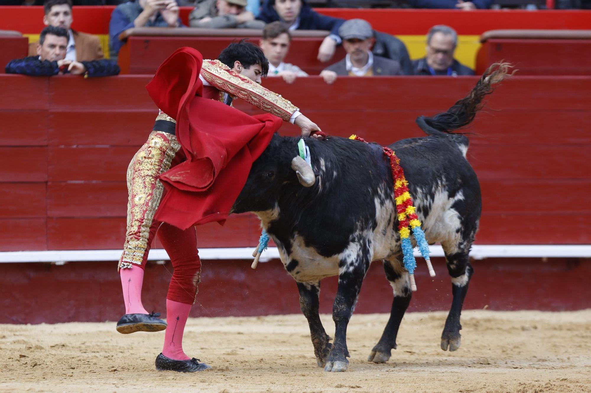 La novillada sin picadores de la Feria de Fallas, en imágenes