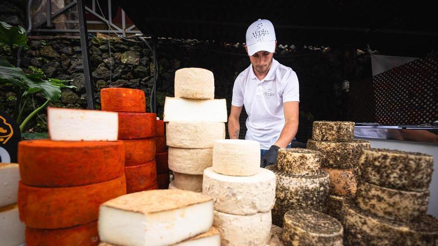 Криза сироваріння на Канарських островах: фермери потерпають від бюрократії та браку підтримки