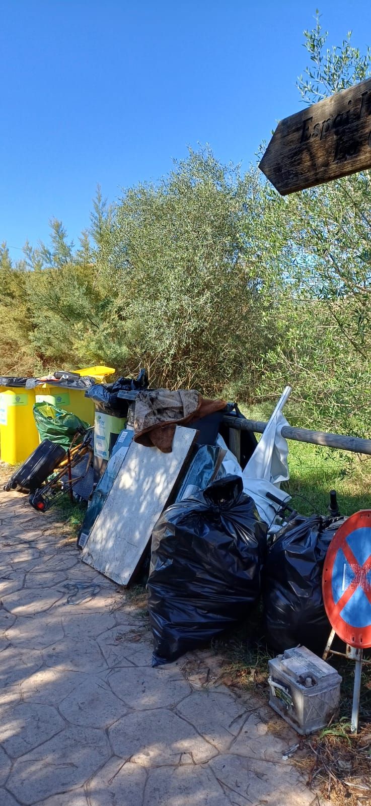 Las imágenes de la jornada de limpieza en el parque de la Gola