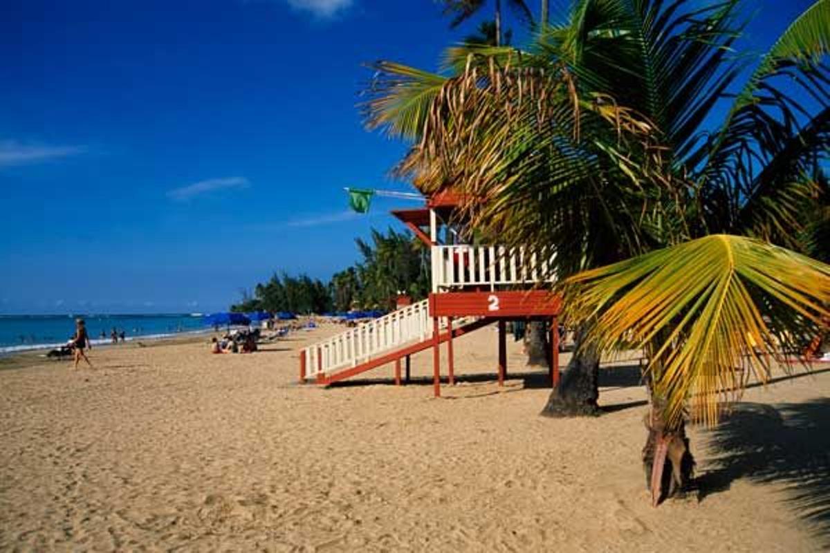 Puro corazón puertorriqueño