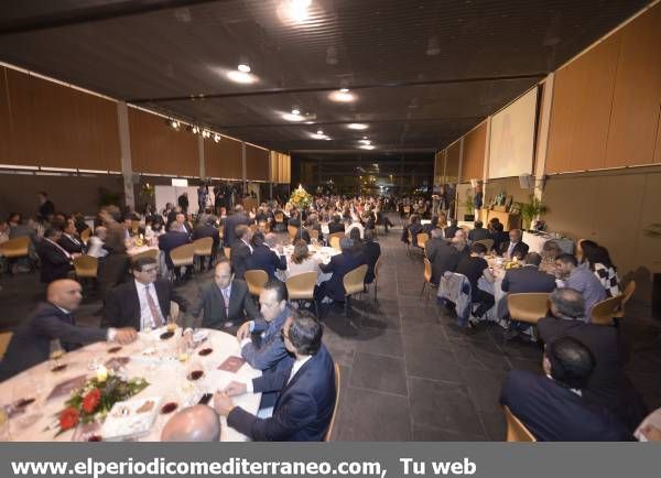 GALERÍA DE FOTOS - Gala Empresa del Año de Mediterráneo II - IV