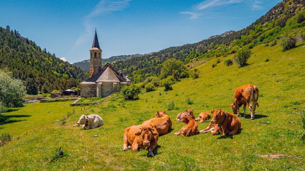 Dicen que es "la Baviera española": tiene castillos, bosques alpinos de abetos y lengua propia