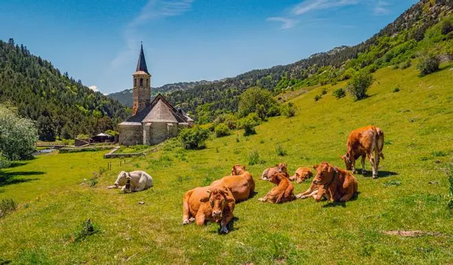 Nadie la visita, pero dicen que es "la Baviera española": castillos sobre lagos alpinos en un Parque Natural repleto de bosques de abetos