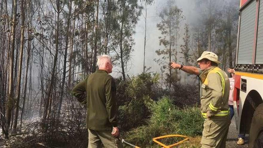 Un brigadista, ayer, durante las labores de extinción del incendio