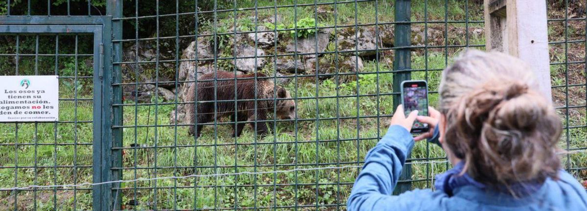 Una visitante fotografía a «Molinera». | MARIO CANTELI