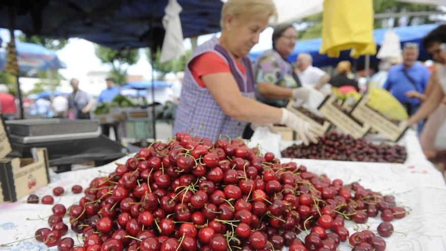 El rincón de A Coruña que se llenará de cerezas este fin de semana: 300 kilos gratis, pulpo y un paisaje ideal para recorrer a pie