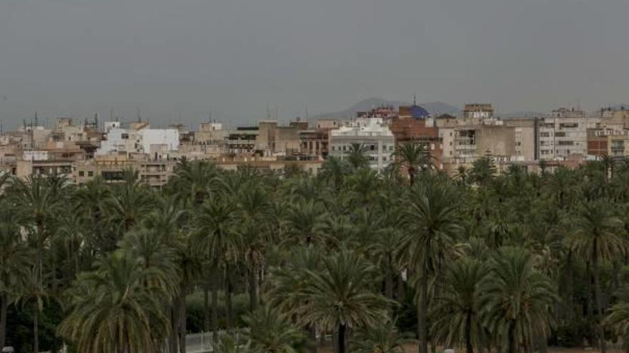 Una vista de Elche, con las palmeras en primer plano, y la cúpula de la basílica de Santa María al fondo.