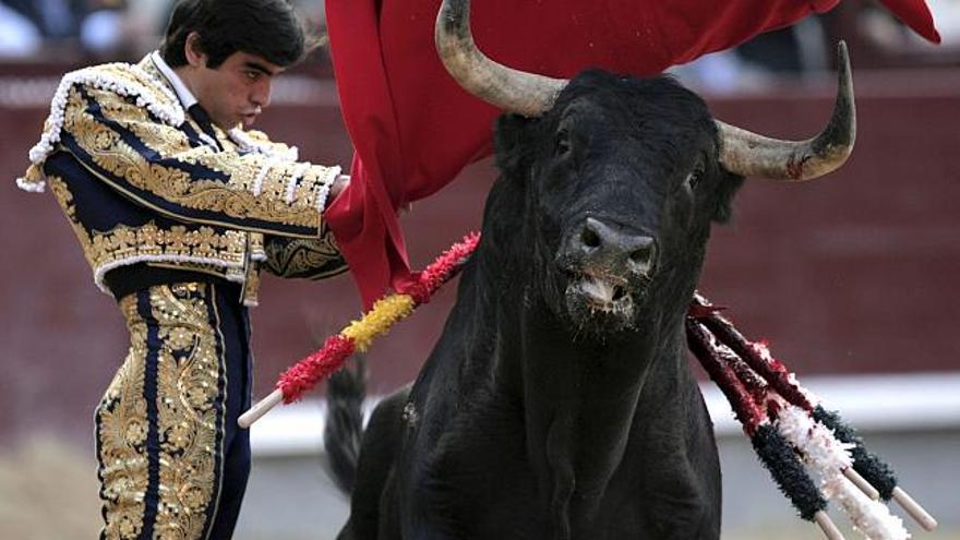 El diestro Miguel Ángel Perera, da un pase con la muleta a su primer astado durante la corrida celebrada esta tarde en la Monumental de Las Ventas en la que compartió cartel con Manuel Jesús &quot;El Cid&quot; y Alejandro Talavante y se lidiaron reses de Núñez del Cuvillo. o