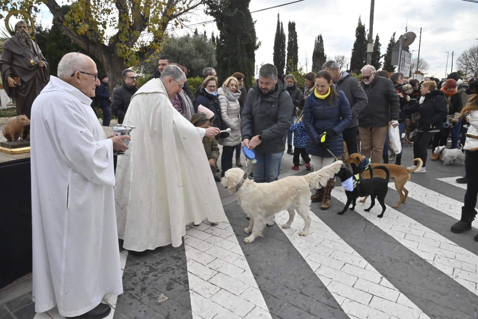 Galería de fotos: Castelló se vuelca con la procesión de Sant Antoni a la Mare de Déu del Lledó