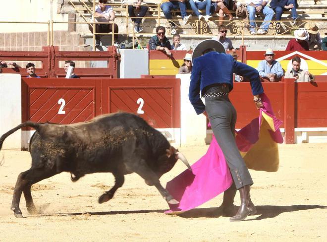 Éxito artístico en el V certamen José María Manzanares de Alicante