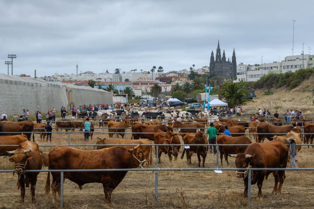 23.06.18. ARUCAS. FIESTAS SAN JUAN ARUCAS, FERIA ...