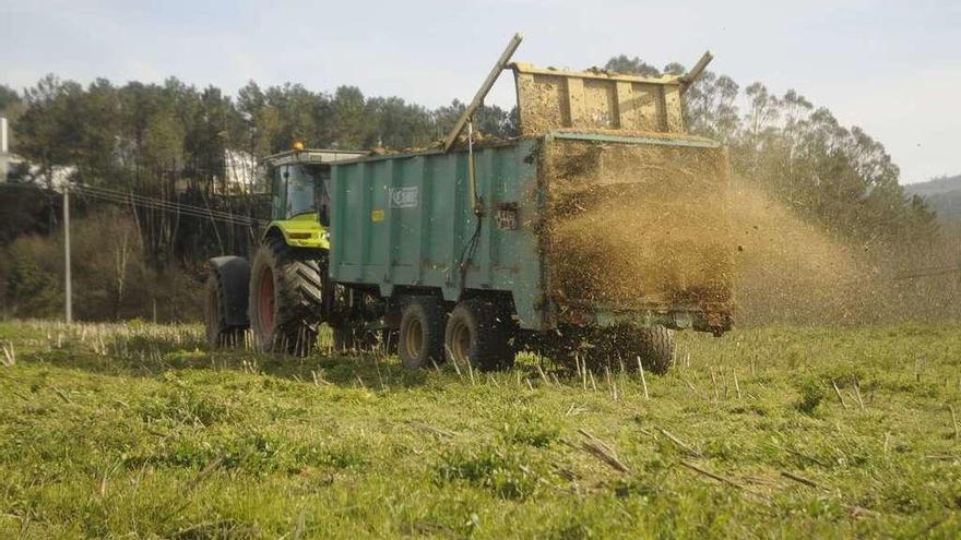 Actividad agraria en una finca alquilada a través del Bantegal.