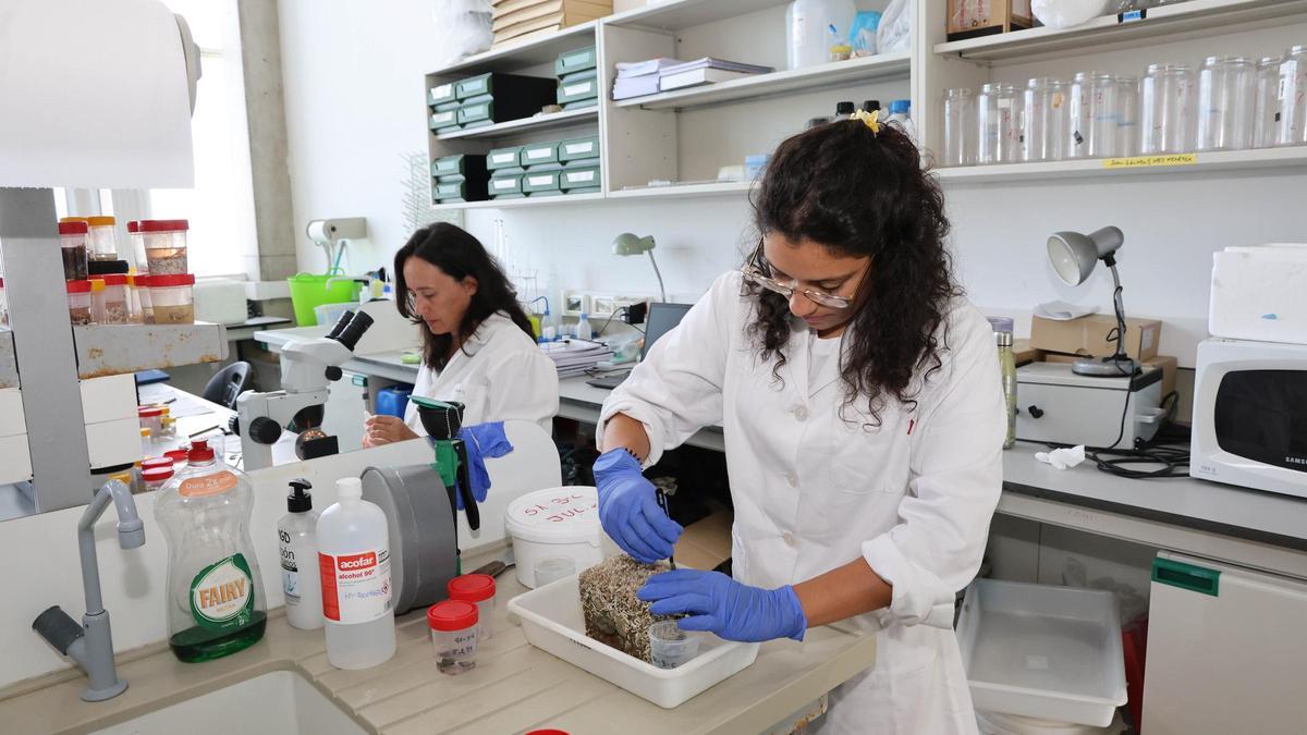 Laboratorio de la Ecimat, en Toralla.