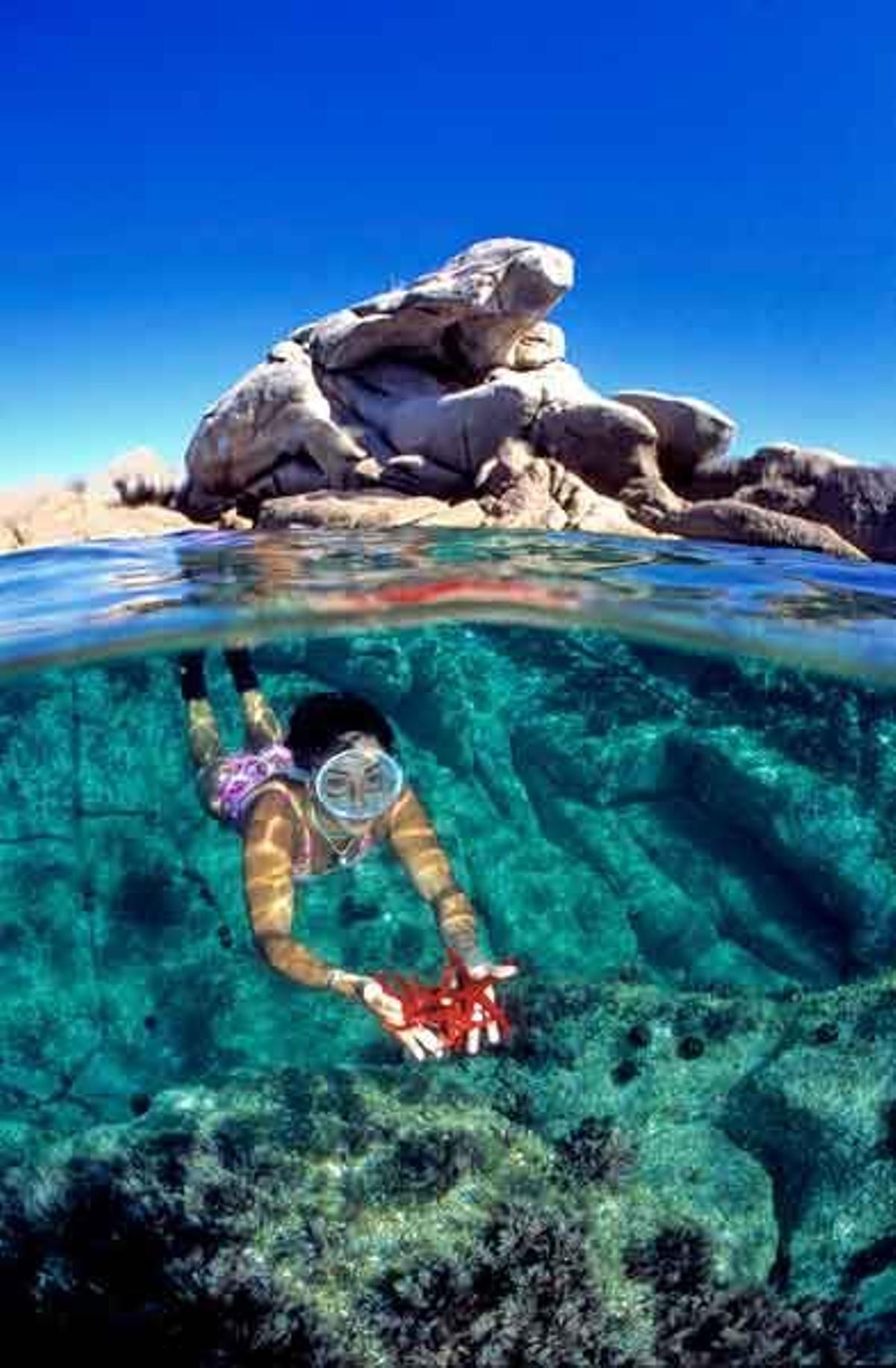 Chica practicando snorkel con una estralla marina en la mano en Córcega.