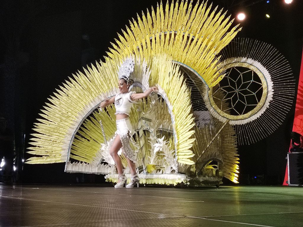 Gala Trajes de Papel del Carnaval de Águilas