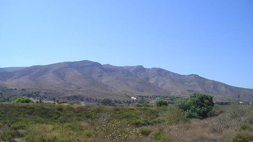 Terrenos. La parcela está situada en la zona de pinares, al norte de la autovía.