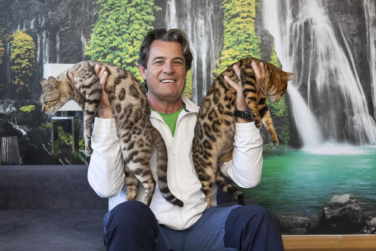 José Manuel Serván jugando con sus gatos.