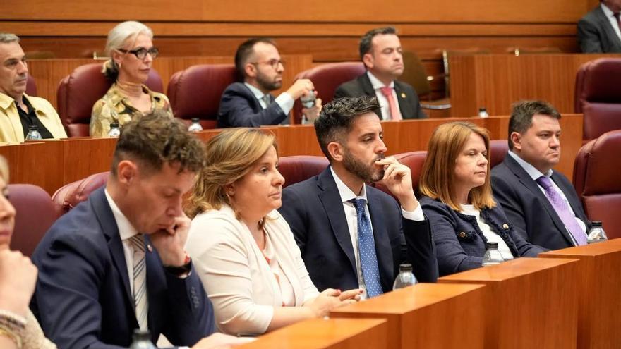 VÍDEO | Los procuradores socialistas hablan sobre el papel de Zamora en la nueva legislatura