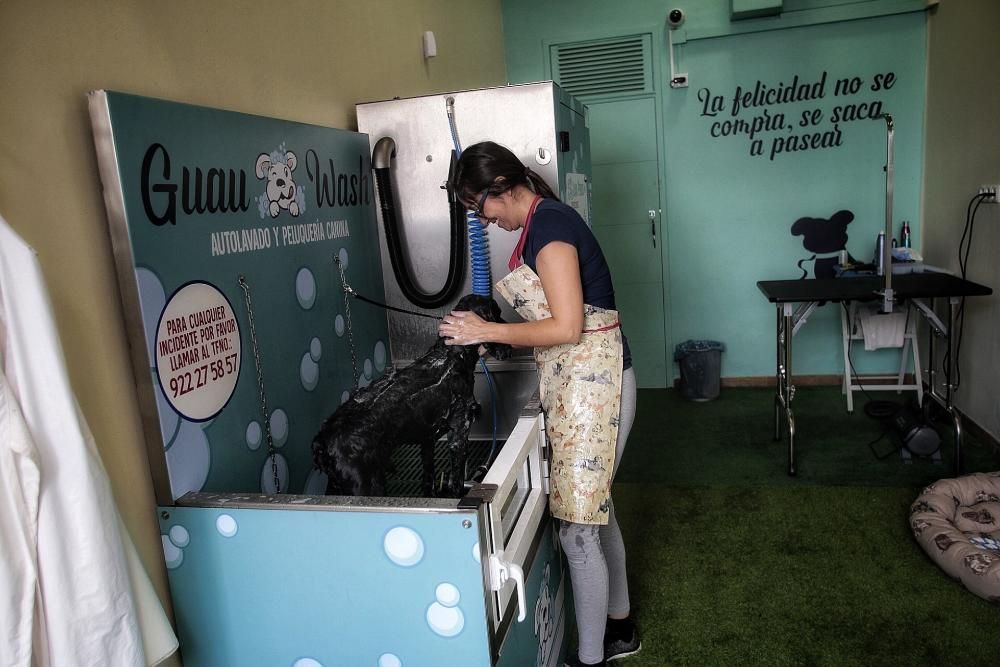 Paseo por Santa Cruz con comercios en marcha