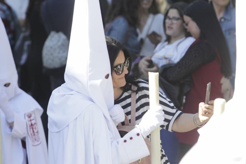 Domingo de Ramos | Salutación