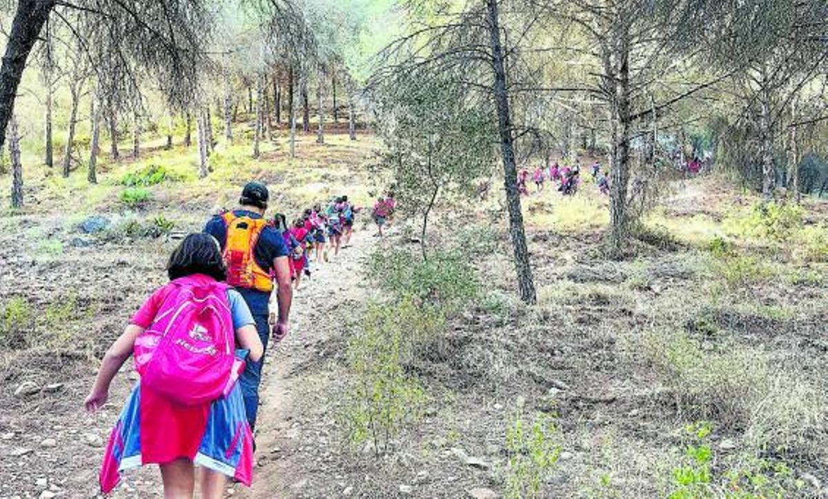 La actividad permitió a los menores concienciarse sobre la necesidad de cuidar la naturaleza. | L.O.