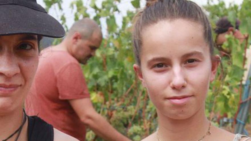 Frost, squid and drought cause  million in losses to vineyards