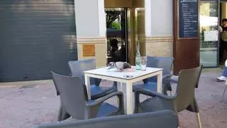 El plan de control de palomas urbanas que aplica Alzira se aproxima ya a las mil capturas