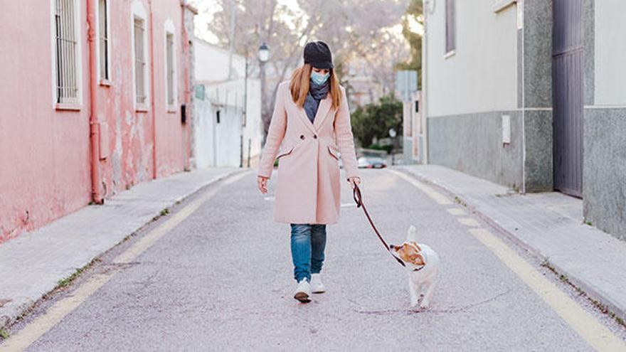 Durante el paseo, no está permitida la formación de grupos de dueños y perros