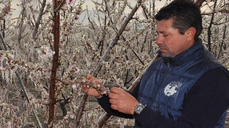 Arriba, quema de paja; abajo, efecto iglú de los aspersores.