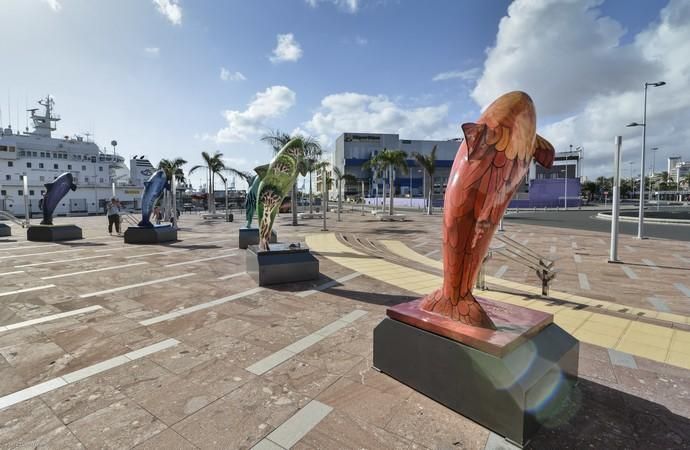 LAS PALMAS DE GRAN CANARIA. Plaza frente Acuario Poema del Mar.  | 21/04/2019 | Fotógrafo: José Pérez Curbelo