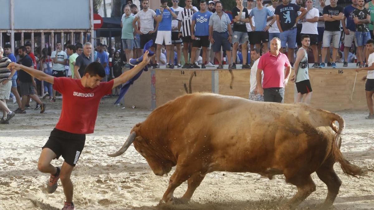 Castellón busca igualar los 4.000 festejos de &#039;bous&#039; del 2018