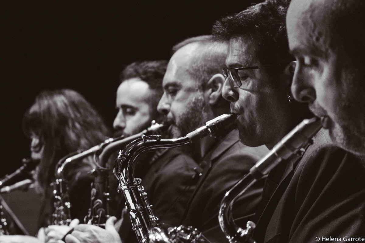 Broche de oro en el Teatro Principal con el gran concierto colectivo del XV Día Internacional del Jazz en Alicante Broche de oro en el Teatro Principal con el gran concierto colectivo del XV Día Internacional del Jazz en Alicante