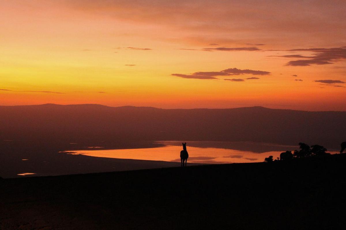 Atardecer en Ngorogoro