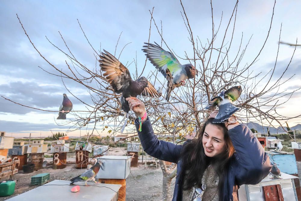 Albatera: Ana Cánovas es campeona nacional junior de colombicultura