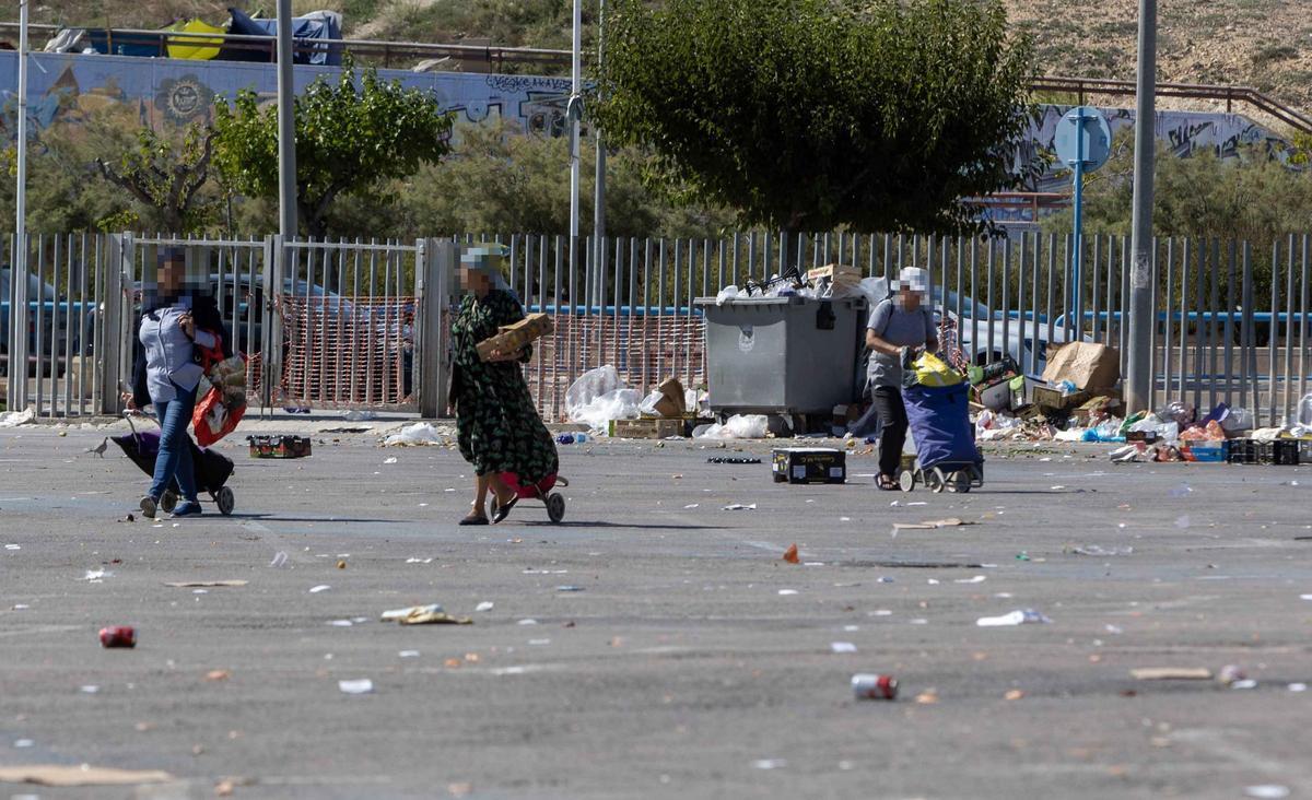 _MGL6974.jpg _MGL6974.jpg