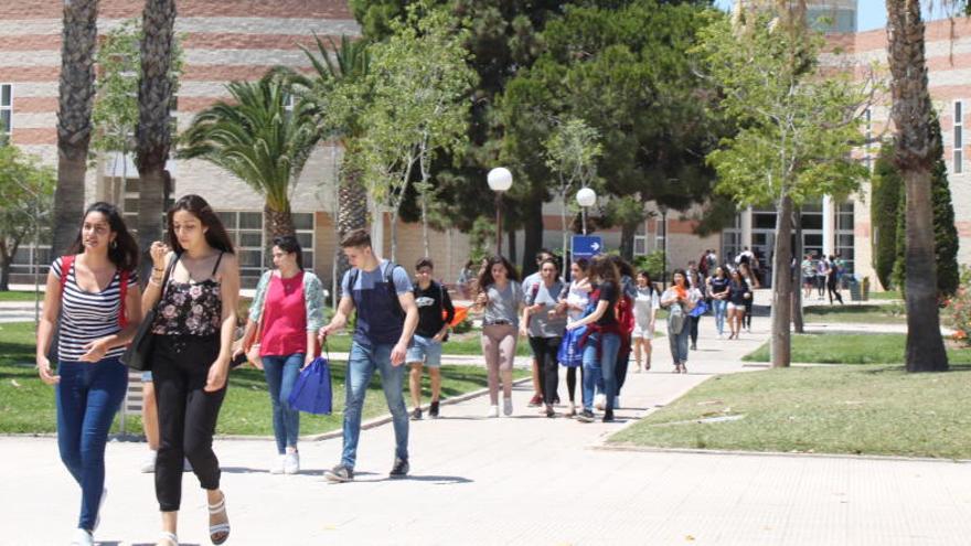 Los que quieran ir a la universidad ya pueden pedir beca