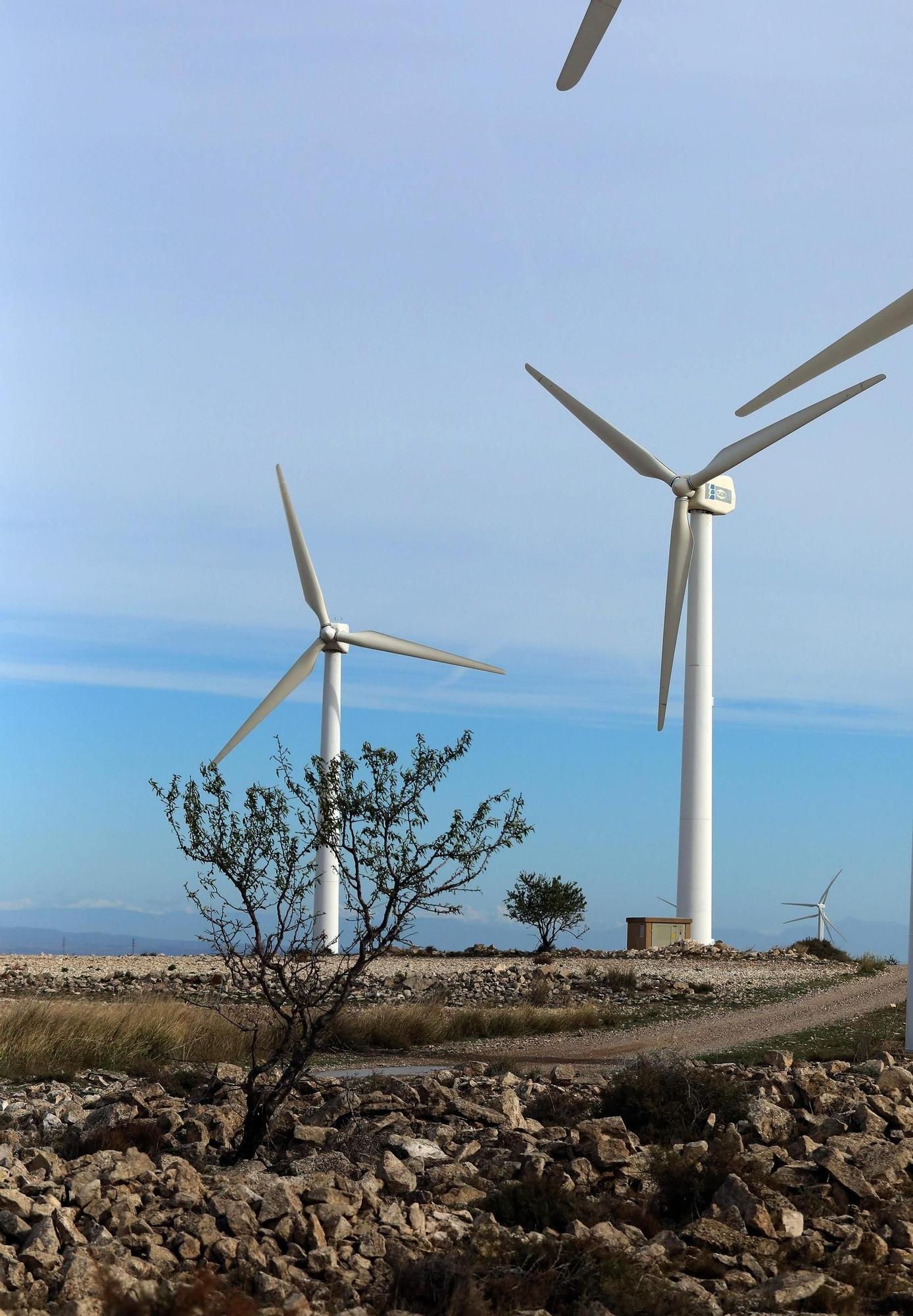 Adiós a los primeros molinos que revolucionaron La Muela