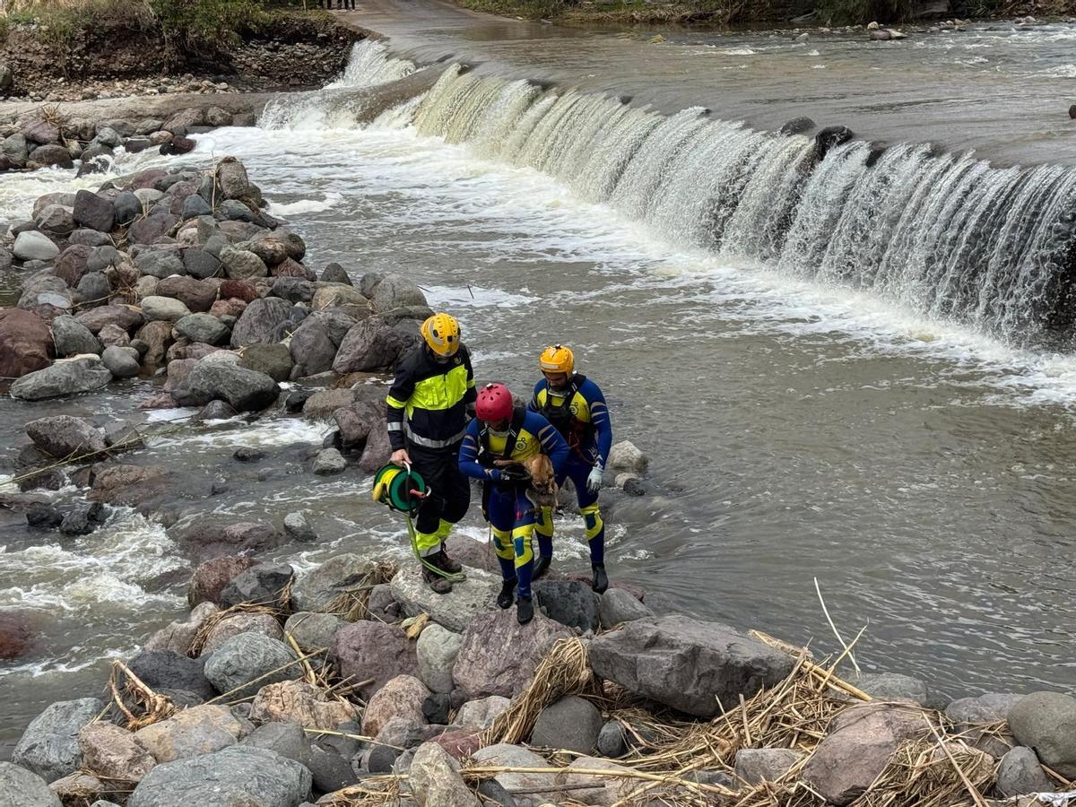 Rescatan a un perro atrapado bajo una cascada en el barranco del Santo, en La Aldea