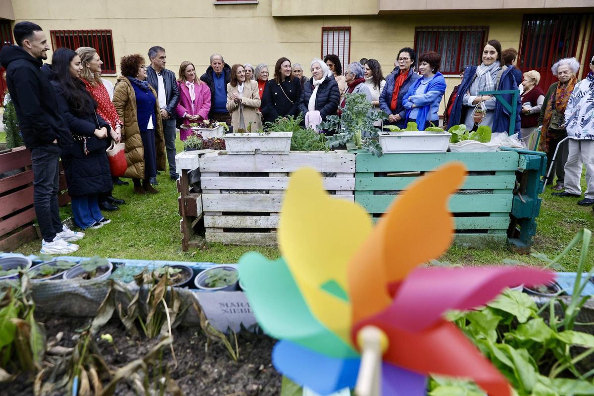 El nuevo huerto urbano de la zona oeste de Gijón, en imágenes