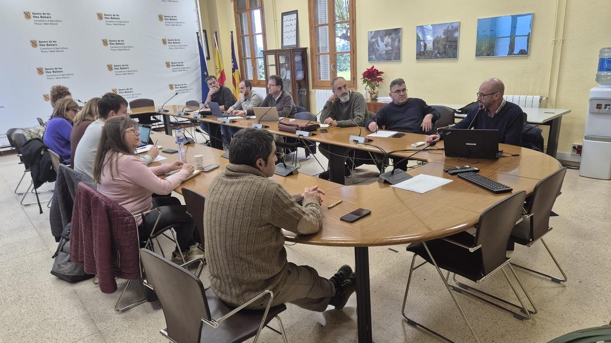 Una imagen de la reunión de Simonet y Fernández con representantes del sector, este jueves.