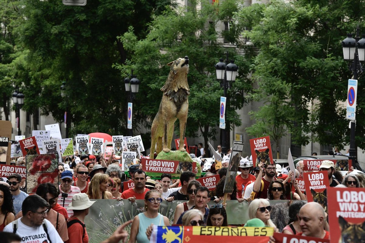 Manifectación en Madrid por la protección del lobo