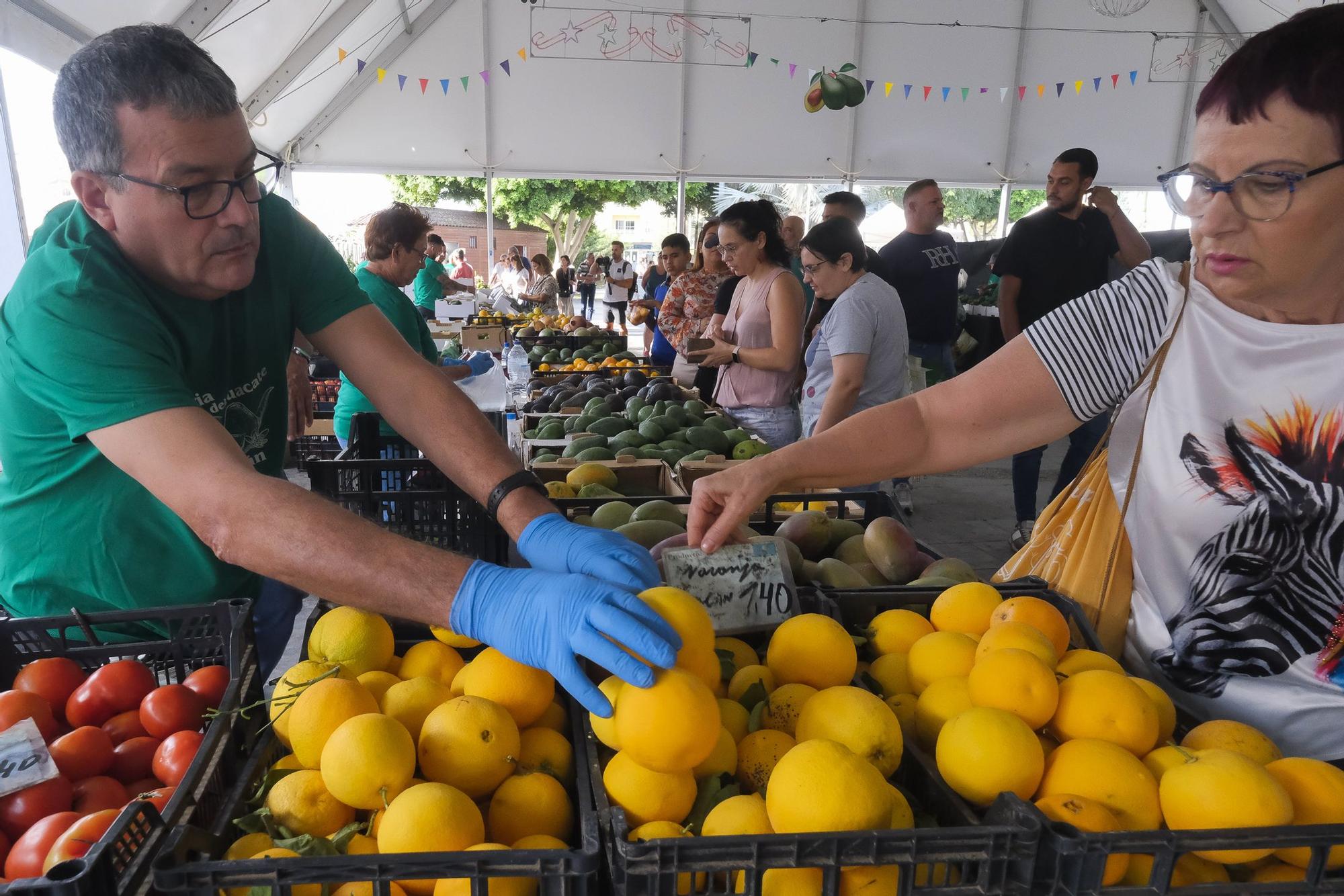04-11-2024 MOGÁN. IX Feria del Aguacate de Mogán, en Arguineguín  | 01/12/2024 | Fotógrafo: Andrés Cruz