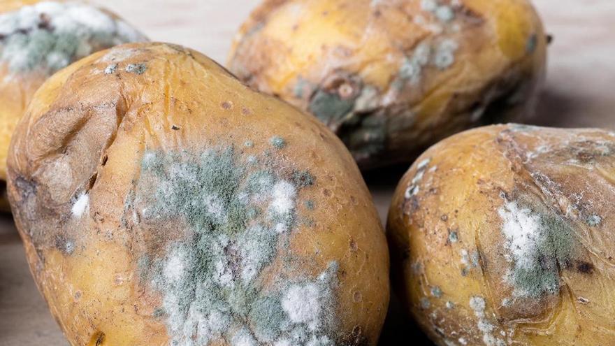 El truco para evitar intoxicaciones en casa: un chef explica el riesgo que muchos ignoran a la hora de consumir alimentos